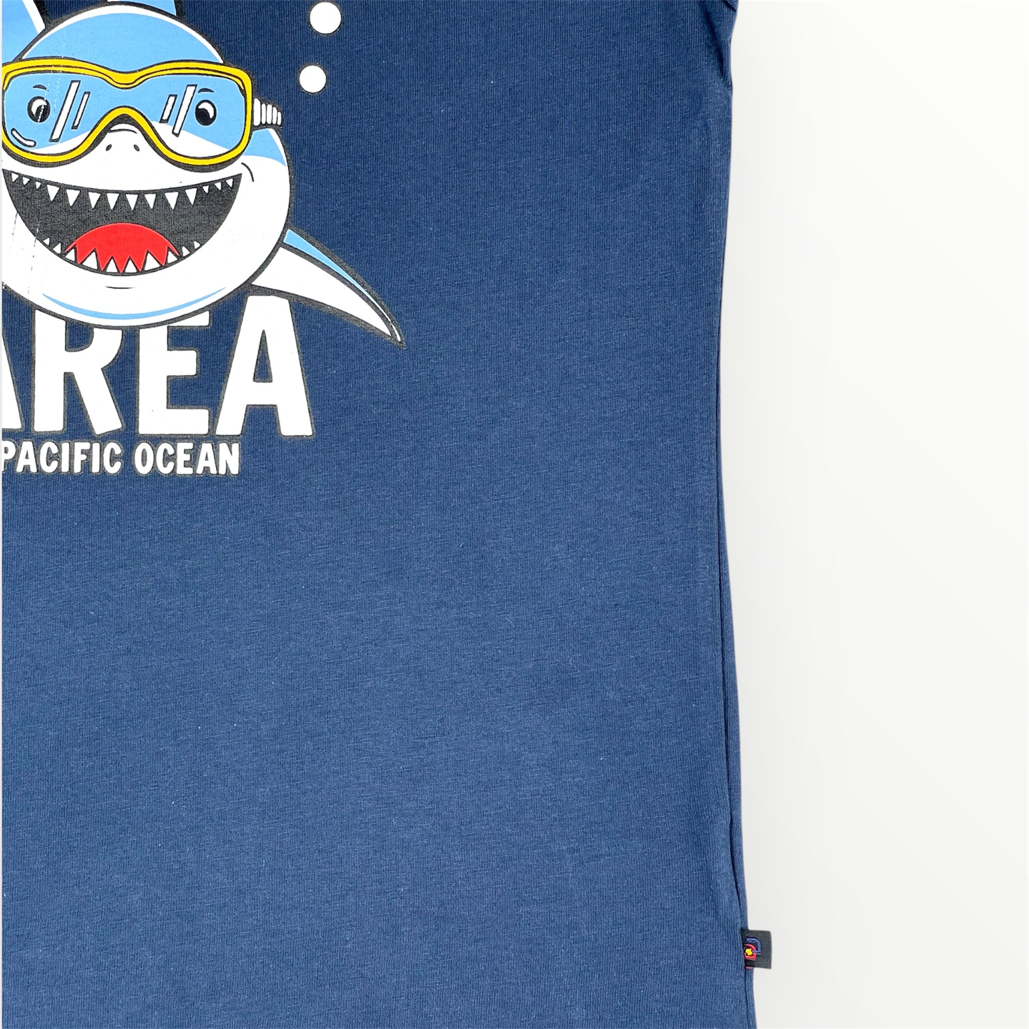 Boys Kids T-Shirt (BTSS25-0009)