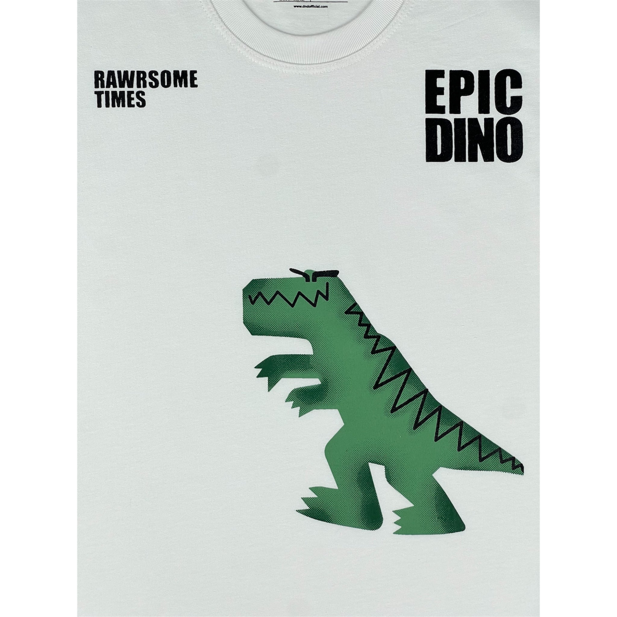 Boys Kids T-Shirt (BTSS25-0008)