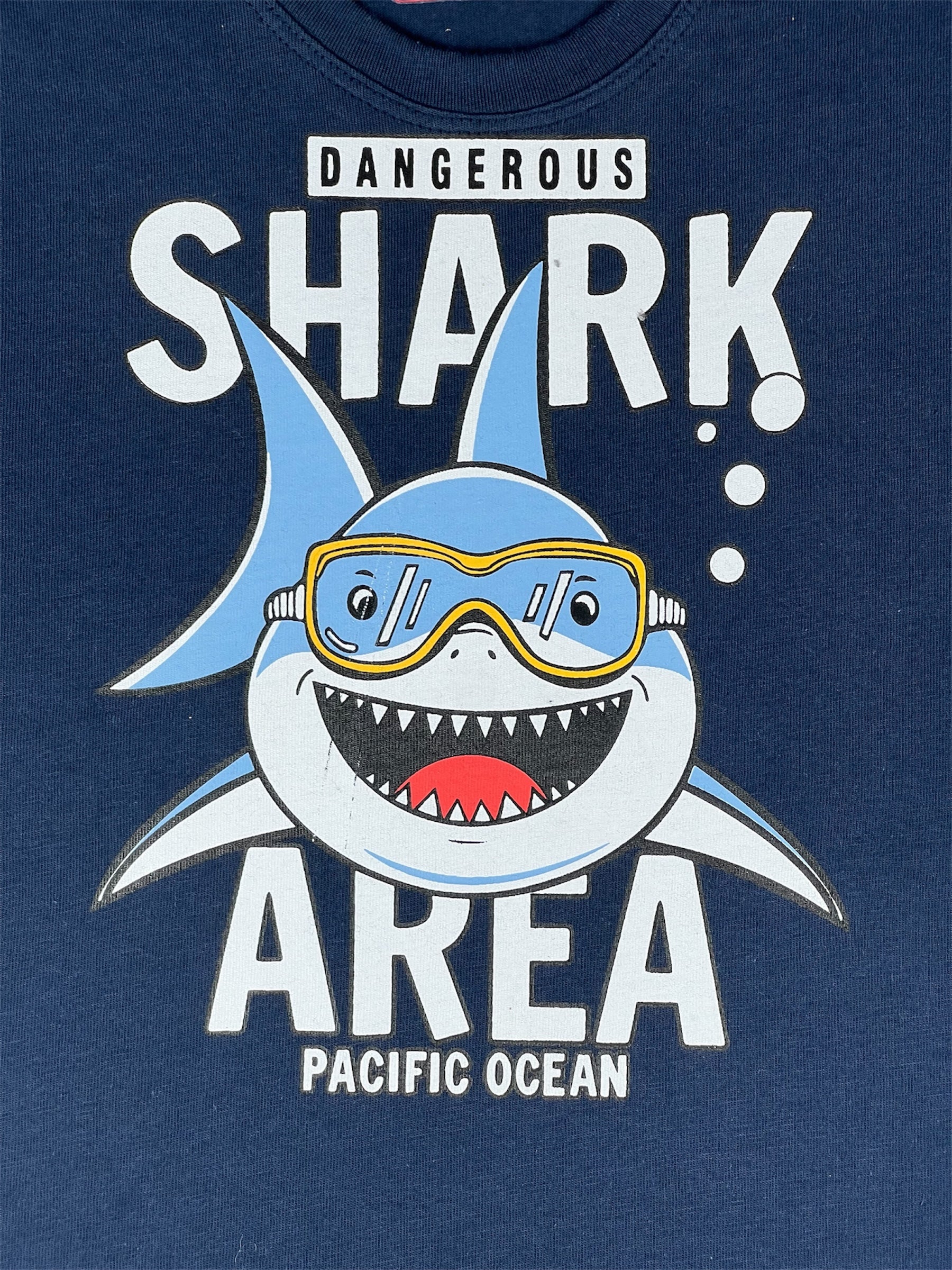 Boys Kids T-Shirt (BTSS25-0009)